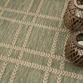 The Rug Corner Nourison Home Horizon Indoor/Outdoor HOZ04 GREEN Area Rugs  