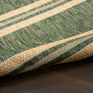 The Rug Corner Nourison Home Horizon Indoor/Outdoor HOZ05 GREEN Area Rugs  