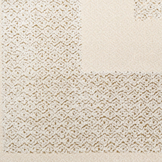 The Rug Corner DKNY Grand Street GRN05 IVTAU Area Rugs  