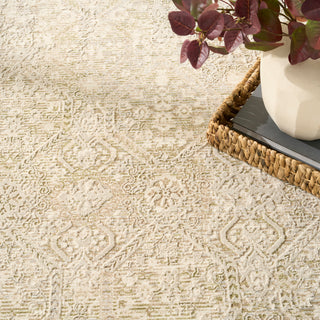 The Rug Corner Nourison Home Nourison Home - Sultana Beige/Grey Area Rug SLL05  