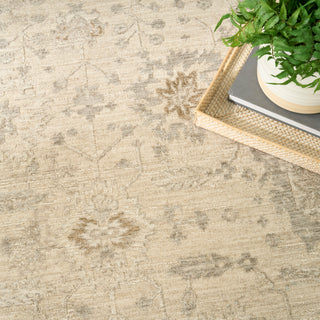 The Rug Corner Nourison Home Moonlit MLI01 IVGRY Area Rugs  