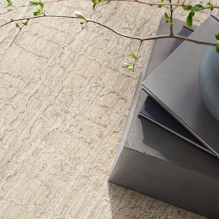 The Rug Corner Calvin Klein Calvin Klein Latitude - Ivory/Beige Area Rug LTD01  