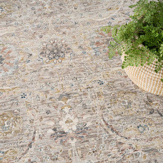 The Rug Corner Nourison Home Antique Fusion ANF03 LTGRY Area Rugs  