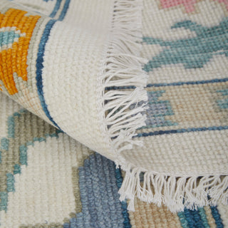 Karina Transitional Floral & Botanical - Ivory/Blue/Pink
