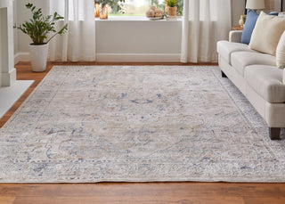 The Rug Corner Feizy Pasha Transitional Medallion - Ivory/Taupe/Blue  Pasha Transitional Medallion - Ivory/Taupe/Blue