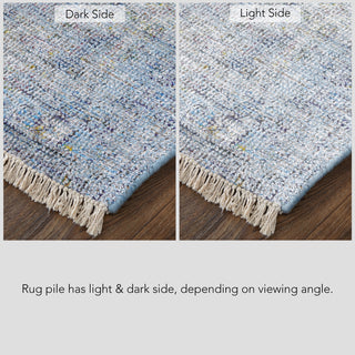 Caldwell Transitional Distressed - Blue/Ivory