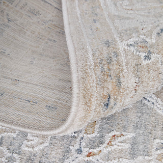 The Rug Corner Feizy Pasha Transitional Medallion - Ivory/Taupe/Blue  Pasha Transitional Medallion - Ivory/Taupe/Blue