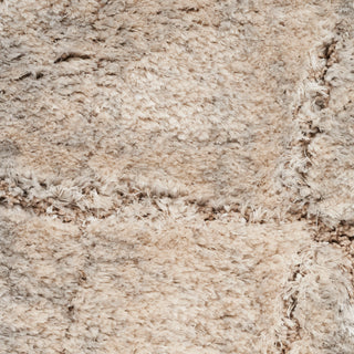 The Rug Corner Nourison Home Dreamy Shag DRS09 IVBGE Area Rugs  