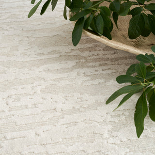 The Rug Corner Nourison Home Divine DIV11 IVORY Area Rugs  
