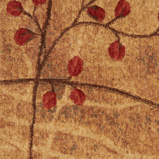 The Rug Corner Nourison Home Nourison Home - Somerset Latte Area Rug ST74  