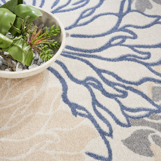 The Rug Corner Nourison Home Passion PSN17 IVGRB Area Rugs  
