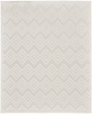 The Rug Corner Nourison Home Versatile NRV01 IVWHT Area Rugs  