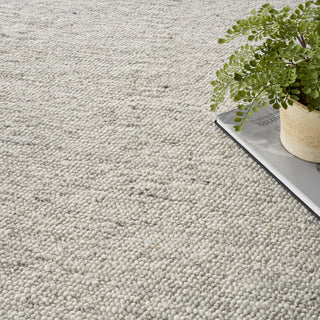 Nourison Home - Alanna Silver Area Rug ALN01