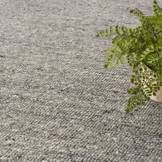 The Rug Corner Nourison Home Alanna ALN01 GREY Area Rugs  