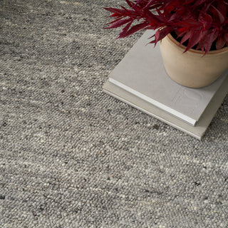 The Rug Corner Nourison Home Alanna ALN01 GREY Area Rugs  