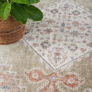 The Rug Corner Nourison Home Astra Machine Washable ASW11 SAGMT Area Rugs  