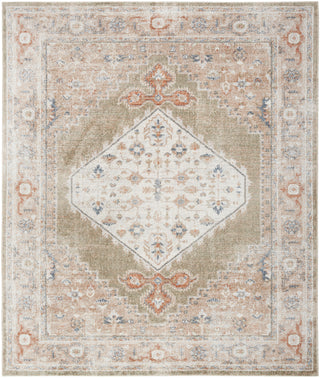The Rug Corner Nourison Home Astra Machine Washable ASW11 SAGMT Area Rugs  