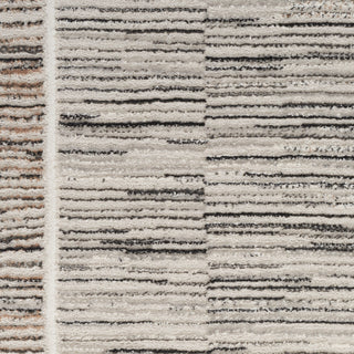 The Rug Corner Nourison Home Desire DSR02 CHAGY Area Rugs  