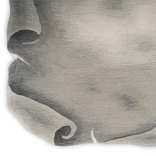 The Rug Corner Nourison Home Limted Edition LIM01 GREY Area Rugs  
