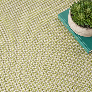 The Rug Corner Nourison Home Nourison Home - Courtyard Ivory/Green Area Rug COU01  