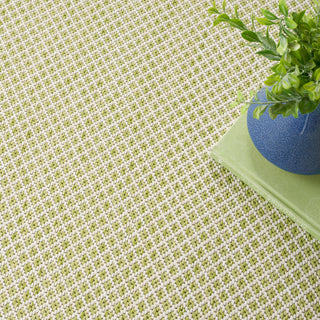 The Rug Corner Nourison Home Nourison Home - Courtyard Ivory/Green Area Rug COU01  