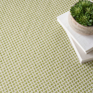 The Rug Corner Nourison Home Nourison Home - Courtyard Ivory/Green Area Rug COU01  