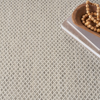 The Rug Corner Nourison Home Nourison Home - Courtyard Ivory/Silver Area Rug COU01  