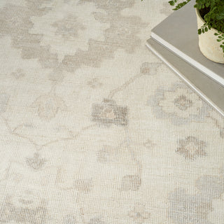 The Rug Corner Nourison Home Aldora ALD14 IVGRY Area Rugs  