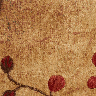 The Rug Corner Nourison Home Nourison Home - Somerset Latte Area Rug ST74  