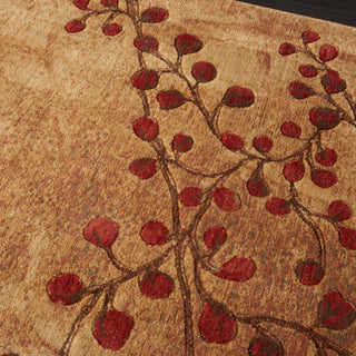 The Rug Corner Nourison Home Nourison Home - Somerset Latte Area Rug ST74  