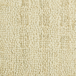 The Rug Corner Nourison Home Marana MNN01 IVORY Area Rugs  