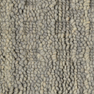 The Rug Corner Nourison Home Marana MNN01 CHARC Area Rugs  