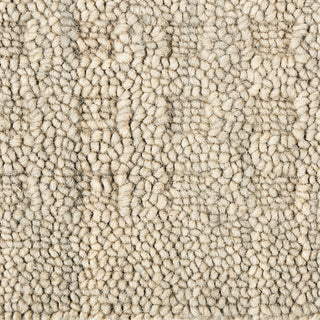 The Rug Corner Nourison Home Nourison Home - Marana Taupe Area Rug MNN01  