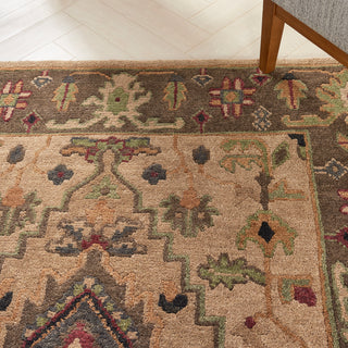 The Rug Corner Nourison Home Tahoe TA01 BGE Area Rugs  