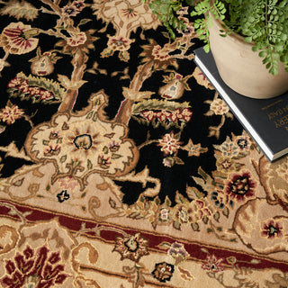 The Rug Corner Nourison Home Nourison 2000 2028 BLK Area Rugs  