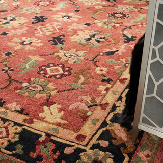 Nourison Home - Tahoe Rust Area Rug TA12