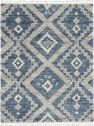 The Rug Corner Nourison Home Oslo Shag OSL02 DENBL Area Rugs  