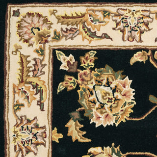 Nourison 2000 2022 BLACK Area Rugs