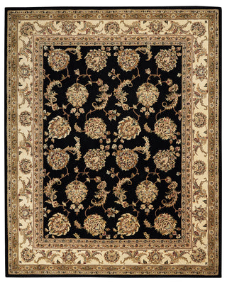 Nourison 2000 2022 BLACK Area Rugs