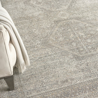 The Rug Corner Nourison Home Starry Nights STN04 CRMGY Area Rugs  