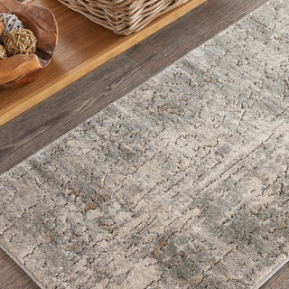 The Rug Corner Nourison Home Quarry QUA03 BGEGY Area Rugs  
