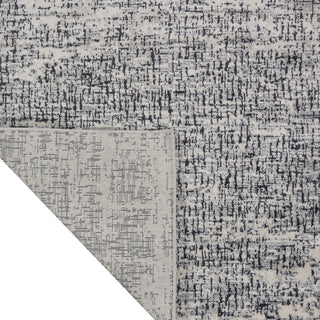 Calvin Klein Vapor - Ivory/Black Area Rug CK971