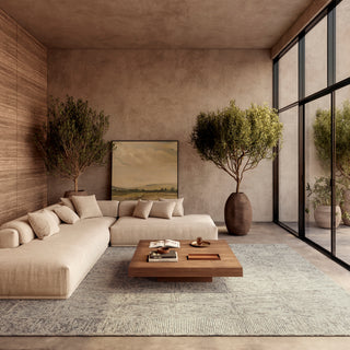 The Rug Corner Nourison Home Colorado CLR04 IVGYT Area Rugs  