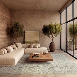 The Rug Corner Nourison Home Colorado CLR05 IVNAV Area Rugs  