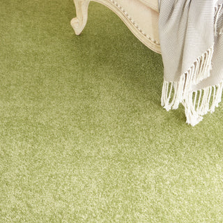 The Rug Corner Nourison Home Nourison Home - Nourison Essentials Green Area Rug NRE01  