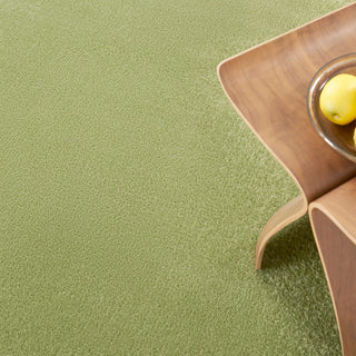 The Rug Corner Nourison Home Nourison Home - Nourison Essentials Green Area Rug NRE01  