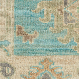 The Rug Corner Nourison Home Odessa ODS03 BLUMT Area Rugs  