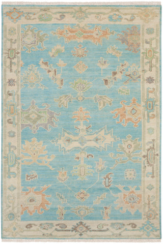 The Rug Corner Nourison Home Odessa ODS03 BLUMT Area Rugs  