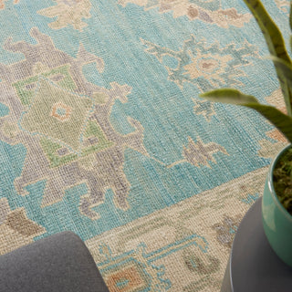 The Rug Corner Nourison Home Odessa ODS03 BLUMT Area Rugs  