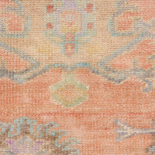 The Rug Corner Nourison Home Odessa ODS04 BRKMT Area Rugs  